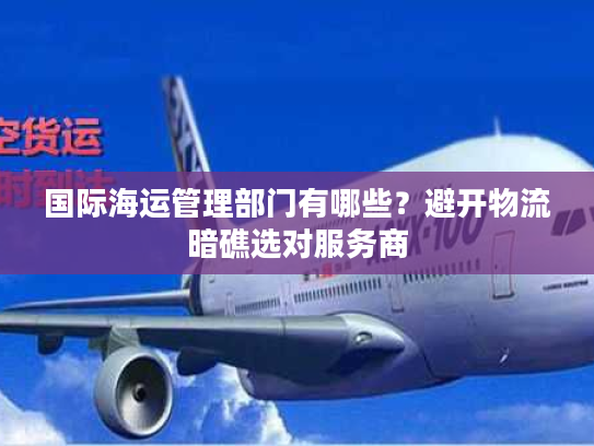 国际海运管理部门有哪些？避开物流暗礁选对服务商