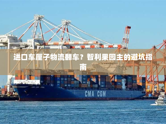 进口车厘子物流翻车？智利果园主的避坑指南