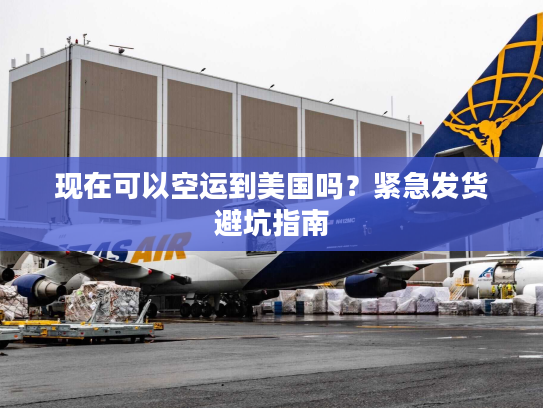 现在可以空运到美国吗？紧急发货避坑指南