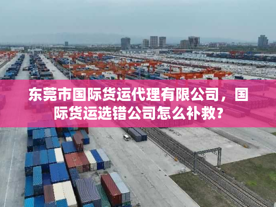 东莞市国际货运代理有限公司，国际货运选错公司怎么补救？