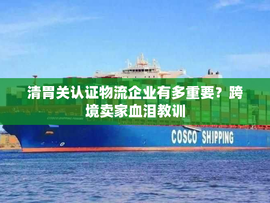 清胃关认证物流企业有多重要?跨境卖家血泪教训 清胃关认证物流企业有多重要?跨境卖家血泪教训