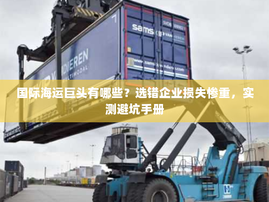 国际海运巨头有哪些？选错企业损失惨重，实测避坑手册