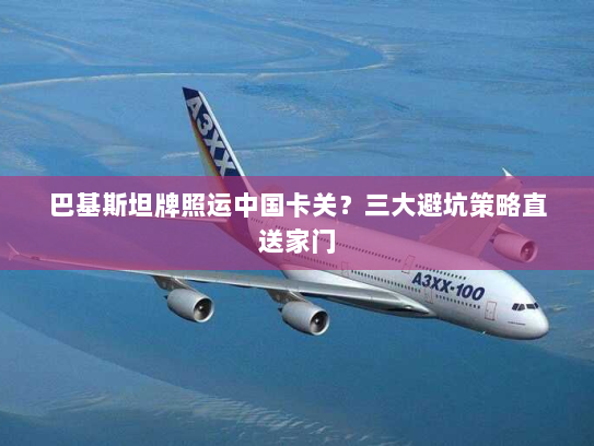 巴基斯坦牌照运中国卡关？三大避坑策略直送家门