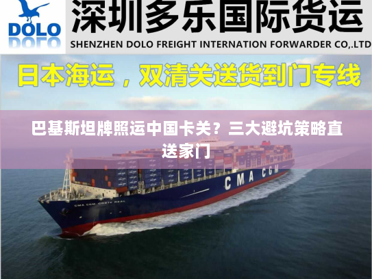 巴基斯坦牌照运中国卡关？三大避坑策略直送家门