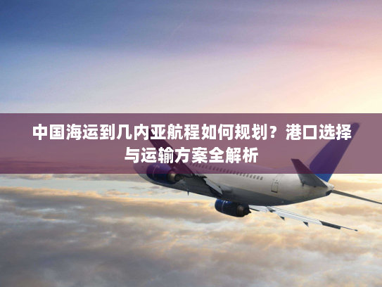 中国海运到几内亚航程如何规划？港口选择与运输方案全解析