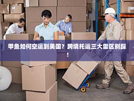 甲鱼如何空运到美国？跨境托运三大雷区别踩！