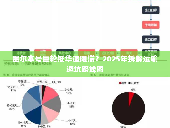 墨尔本号巨轮抵华遇阻滞？2025年拆解运输避坑路线图
