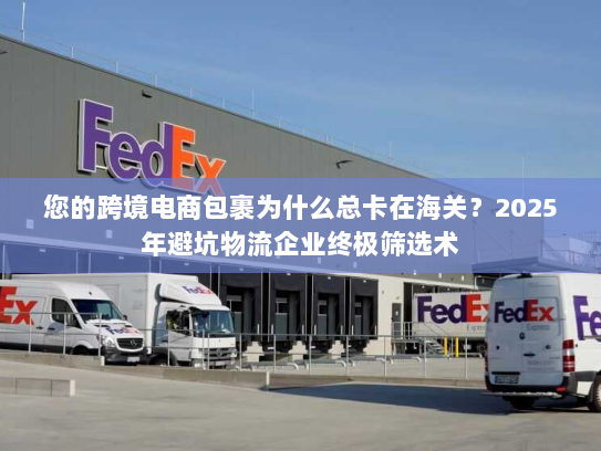 您的跨境电商包裹为什么总卡在海关?2025年避坑物流企业终极筛选术 您的跨境电商包裹为什么总卡在海关?2025年避坑物流企业终极筛选术