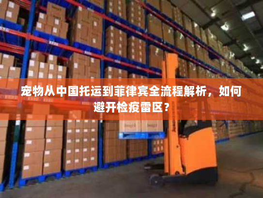 宠物从中国托运到菲律宾全流程解析,如何避开检疫雷区? 宠物从中国托运到菲律宾全流程解析,如何避开检疫雷区?