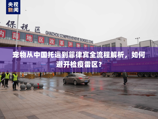 宠物从中国托运到菲律宾全流程解析,如何避开检疫雷区? 宠物从中国托运到菲律宾全流程解析,如何避开检疫雷区?