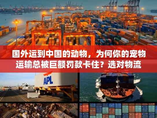 国外运到中国的动物，为何你的宠物运输总被巨额罚款卡住？选对物流企业是解药！