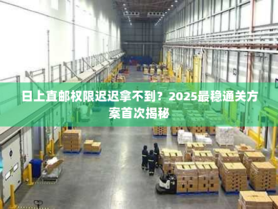 日上直邮权限迟迟拿不到？2025最稳通关方案首次揭秘