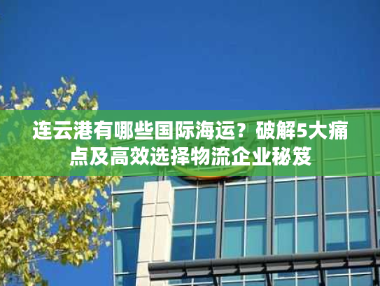 连云港有哪些国际海运?破解5大痛点及高效选择物流企业秘笈 连云港有哪些国际海运?破解5大痛点及高效选择物流企业秘笈