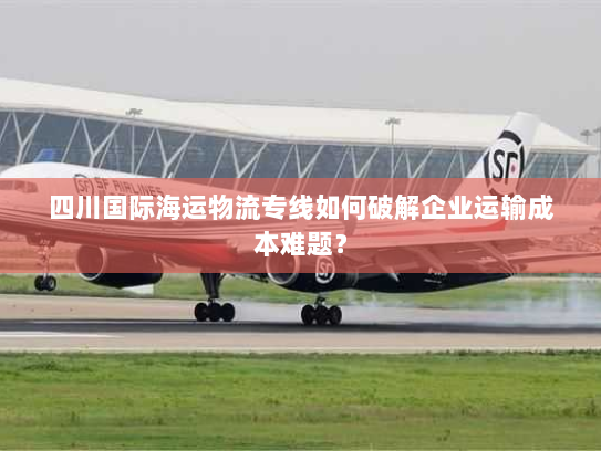 四川国际海运物流专线如何破解企业运输成本难题? 四川国际海运物流专线如何破解企业运输成本难题?