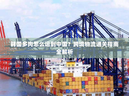 韩国多肉怎么运到中国？跨境物流通关指南全解析