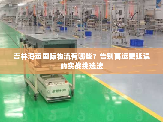 吉林海运国际物流有哪些?告别高运费延误的实战挑选法 吉林海运国际物流有哪些?告别高运费延误的实战挑选法