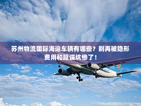 苏州物流国际海运车辆有哪些?别再被隐形费用和延误坑惨了! 苏州物流国际海运车辆有哪些?别再被隐形费用和延误坑惨了!