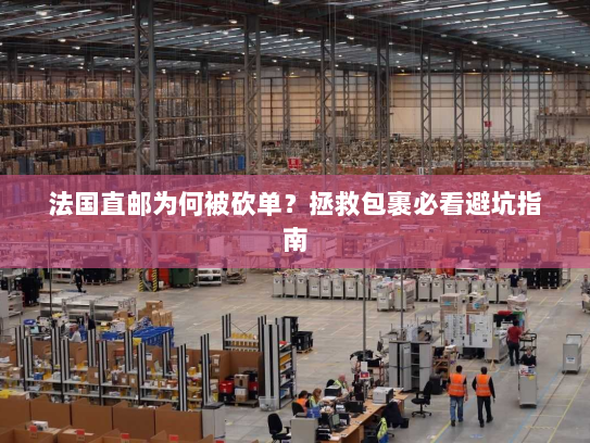 法国直邮为何被砍单?拯救包裹必看避坑指南 法国直邮为何被砍单?拯救包裹必看避坑指南