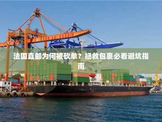 法国直邮为何被砍单?拯救包裹必看避坑指南 法国直邮为何被砍单?拯救包裹必看避坑指南