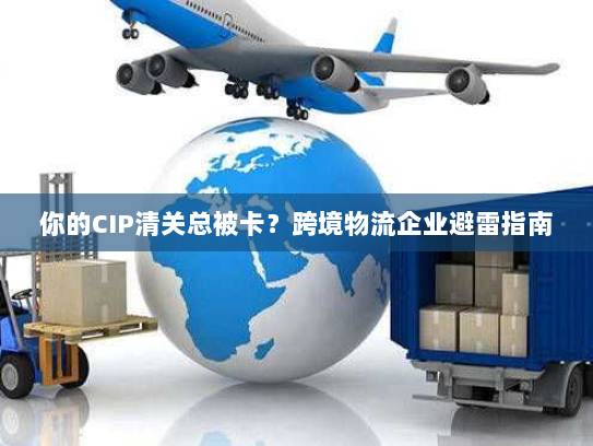你的CIP清关总被卡？跨境物流企业避雷指南