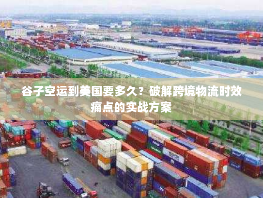 谷子空运到美国要多久?破解跨境物流时效痛点的实战方案 谷子空运到美国要多久?破解跨境物流时效痛点的实战方案