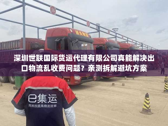 深圳世联国际货运代理有限公司真能解决出口物流乱收费问题?亲测拆解避坑方案 深圳世联国际货运代理有限公司真能解决出口物流乱收费问题?亲测拆解避坑方案