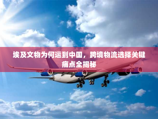 埃及文物为何运到中国,跨境物流选择关键痛点全揭秘 埃及文物为何运到中国,跨境物流选择关键痛点全揭秘