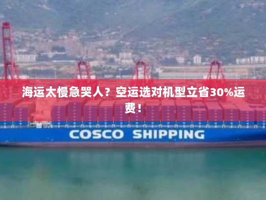海运太慢急哭人?空运选对机型立省30%运费! 海运太慢急哭人?空运选对机型立省30%运费!