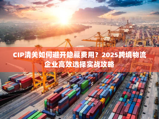 CIP清关如何避开隐藏费用?2025跨境物流企业高效选择实战攻略 CIP清关如何避开隐藏费用?2025跨境物流企业高效选择实战攻略