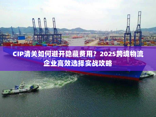 CIP清关如何避开隐藏费用?2025跨境物流企业高效选择实战攻略 CIP清关如何避开隐藏费用?2025跨境物流企业高效选择实战攻略