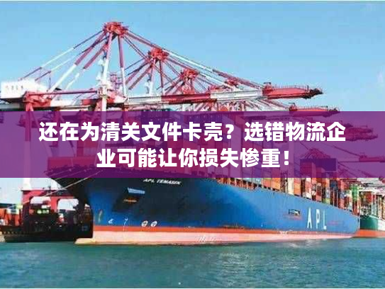 还在为清关文件卡壳?选错物流企业可能让你损失惨重! 还在为清关文件卡壳?选错物流企业可能让你损失惨重!