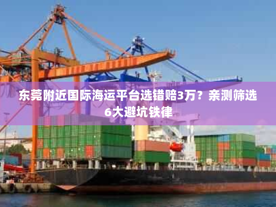 东莞附近国际海运平台选错赔3万？亲测筛选6大避坑铁律