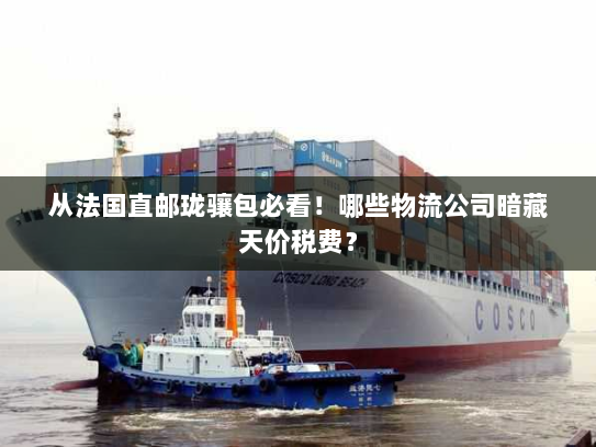 从法国直邮珑骧包必看!哪些物流公司暗藏天价税费? 从法国直邮珑骧包必看!哪些物流公司暗藏天价税费?