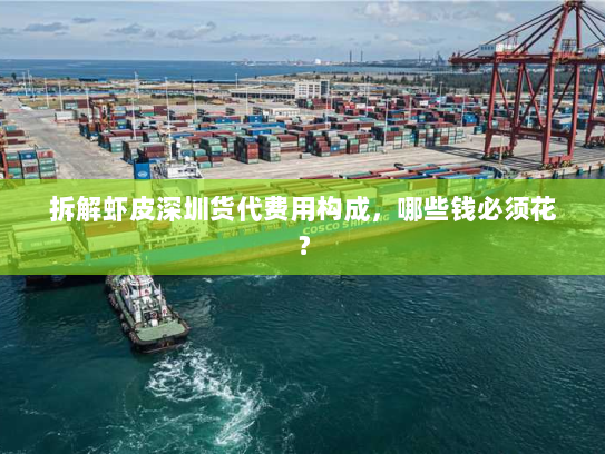 拆解虾皮深圳货代费用构成,哪些钱必须花? 拆解虾皮深圳货代费用构成,哪些钱必须花?