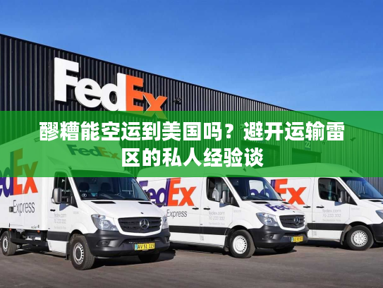 醪糟能空运到美国吗？避开运输雷区的私人经验谈