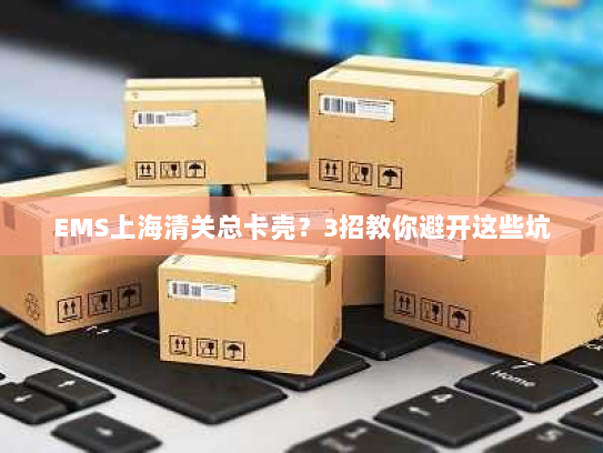 EMS上海清关总卡壳？3招教你避开这些坑