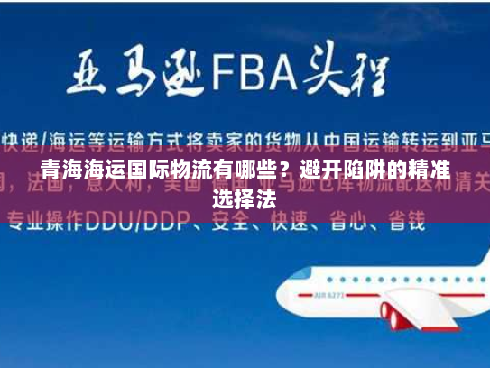 青海海运国际物流有哪些？避开陷阱的精准选择法