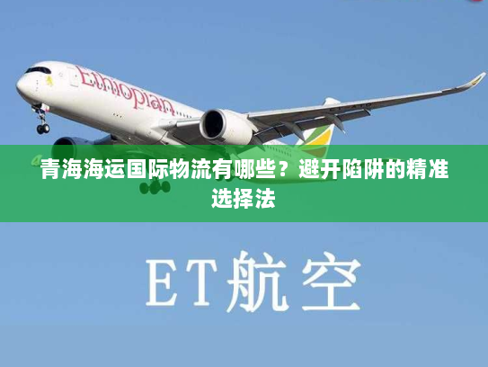 青海海运国际物流有哪些？避开陷阱的精准选择法