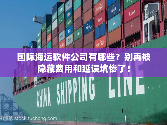 国际海运软件公司有哪些?别再被隐藏费用和延误坑惨了! 国际海运软件公司有哪些?别再被隐藏费用和延误坑惨了!