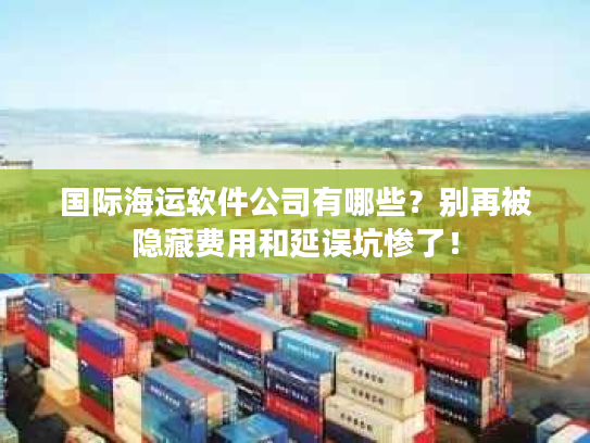 国际海运软件公司有哪些?别再被隐藏费用和延误坑惨了! 国际海运软件公司有哪些?别再被隐藏费用和延误坑惨了!