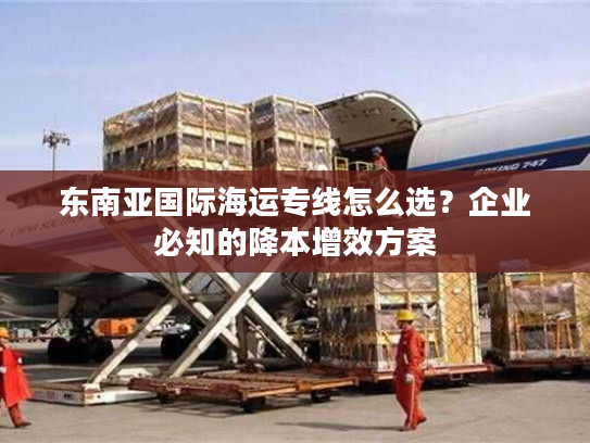 东南亚国际海运专线怎么选？企业必知的降本增效方案