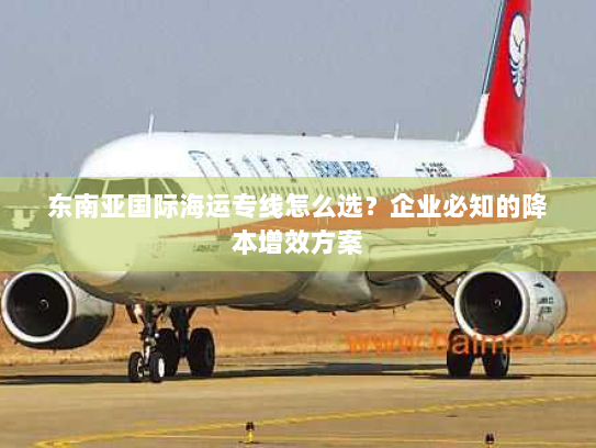 东南亚国际海运专线怎么选?企业必知的降本增效方案 东南亚国际海运专线怎么选?企业必知的降本增效方案