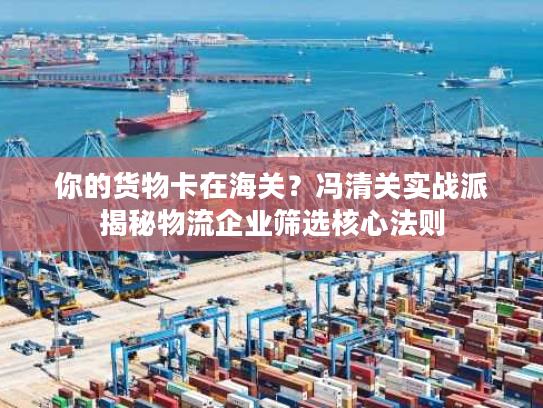 你的货物卡在海关？冯清关实战派揭秘物流企业筛选核心法则