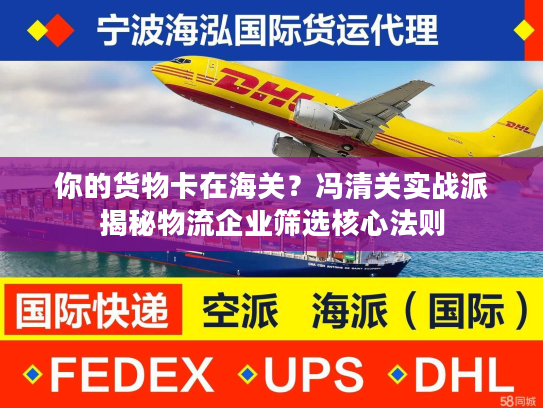 你的货物卡在海关？冯清关实战派揭秘物流企业筛选核心法则