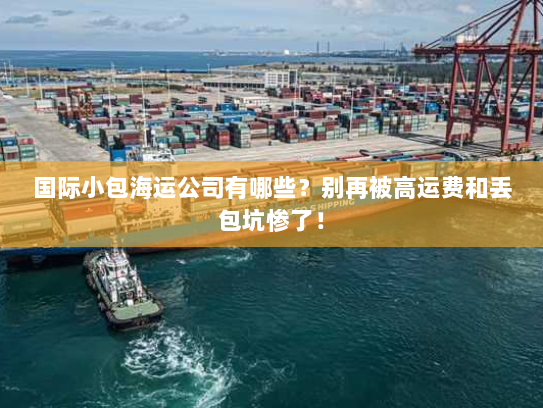 国际小包海运公司有哪些?别再被高运费和丢包坑惨了! 国际小包海运公司有哪些?别再被高运费和丢包坑惨了!