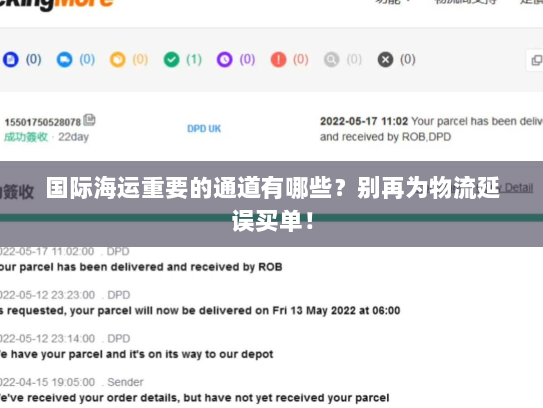 国际海运重要的通道有哪些？别再为物流延误买单！