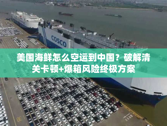 美国海鲜怎么空运到中国?破解清关卡顿+爆箱风险终极方案 美国海鲜怎么空运到中国?破解清关卡顿+爆箱风险终极方案