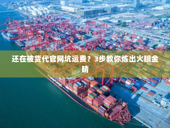 还在被货代官网坑运费？3步教你炼出火眼金睛