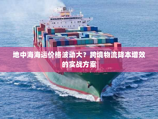 地中海海运价格波动大？跨境物流降本增效的实战方案