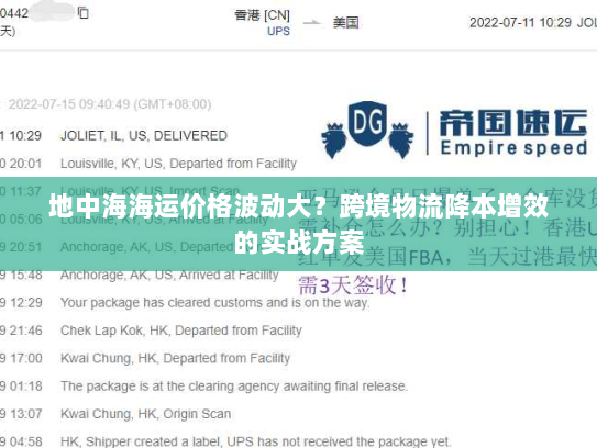 地中海海运价格波动大？跨境物流降本增效的实战方案